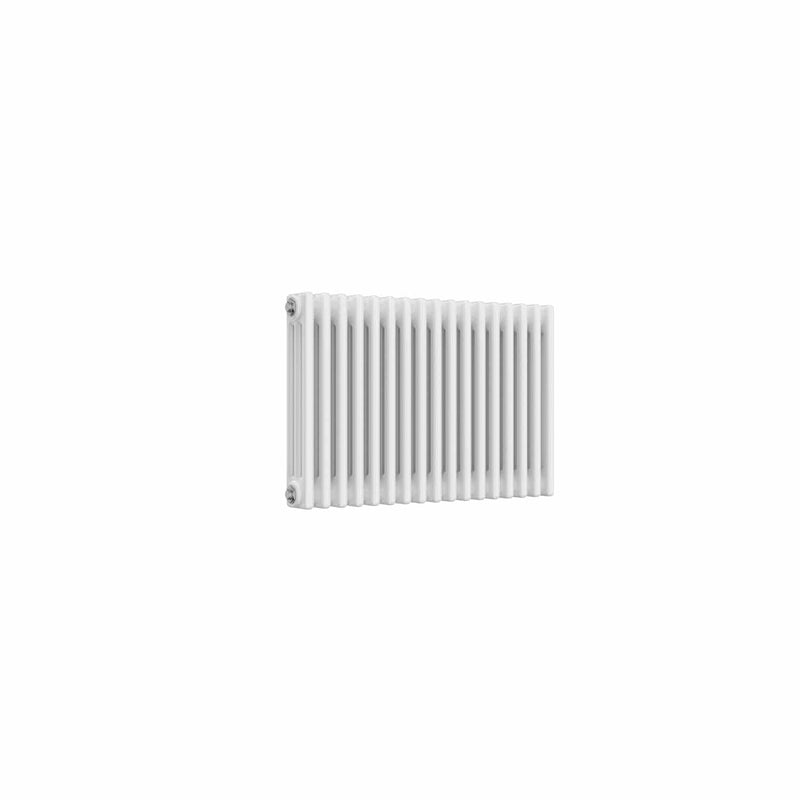 Reina Colona White Traditional Column Horizontal Radiator