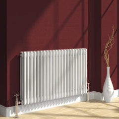 Reina Colona White Traditional Column Horizontal Radiator