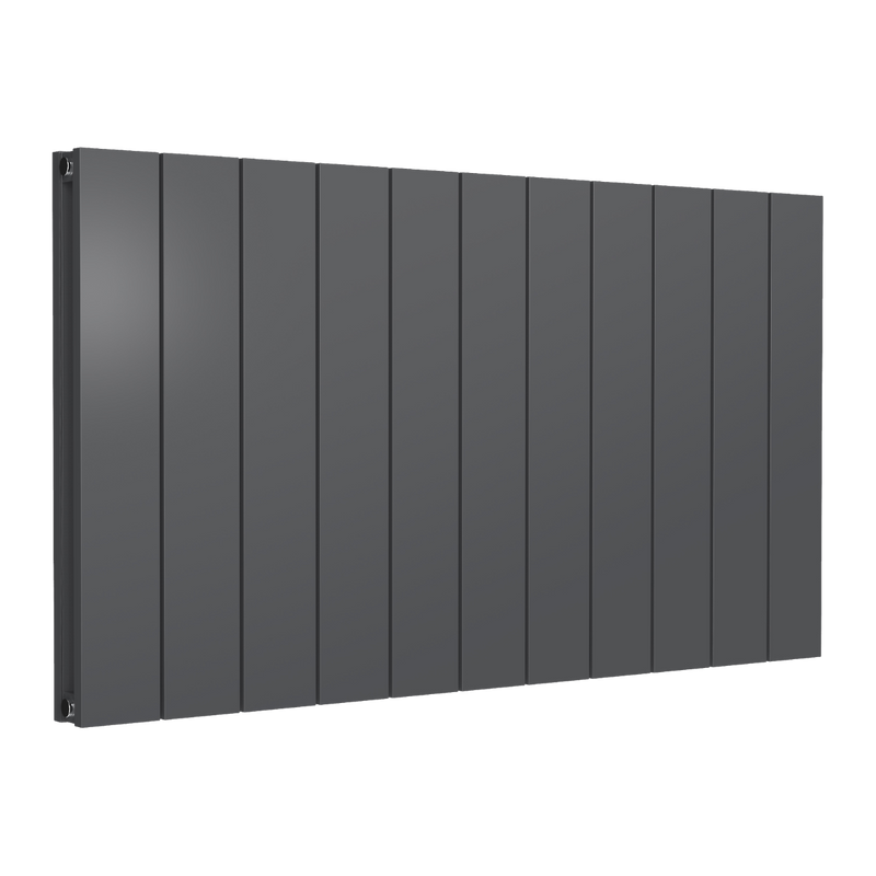 Reina Loco Horizontal Double Aluminium Radiator