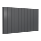 Reina Loco Horizontal Double Aluminium Radiator