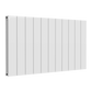 Reina Loco Horizontal Double Aluminium Radiator
