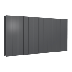 Reina Loco Horizontal Double Aluminium Radiator