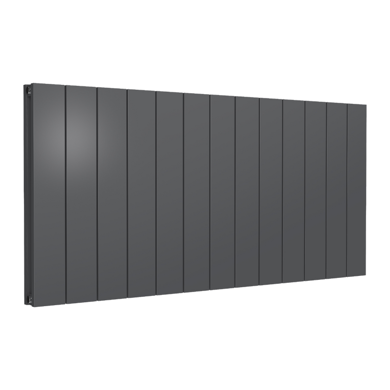Reina Loco Horizontal Double Aluminium Radiator