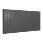Reina Loco Horizontal Double Aluminium Radiator