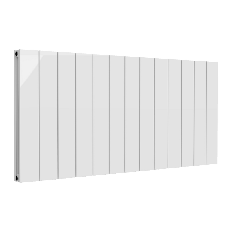 Reina Loco Horizontal Double Aluminium Radiator