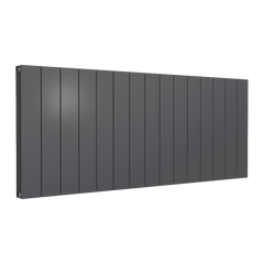 Reina Loco Horizontal Double Aluminium Radiator