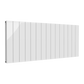 Reina Loco Horizontal Double Aluminium Radiator