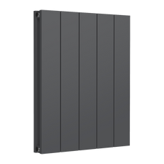 Reina Loco Horizontal Double Aluminium Radiator