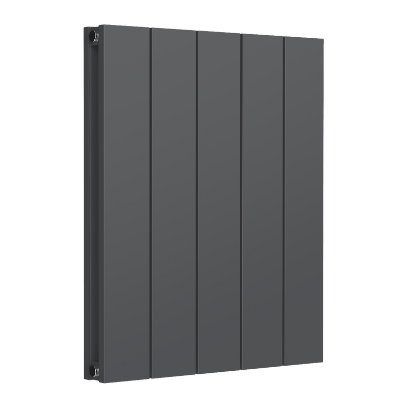 Reina Loco Horizontal Double Aluminium Radiator