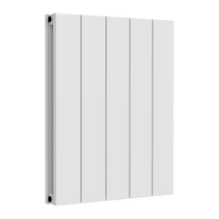 Reina Loco Horizontal Double Aluminium Radiator