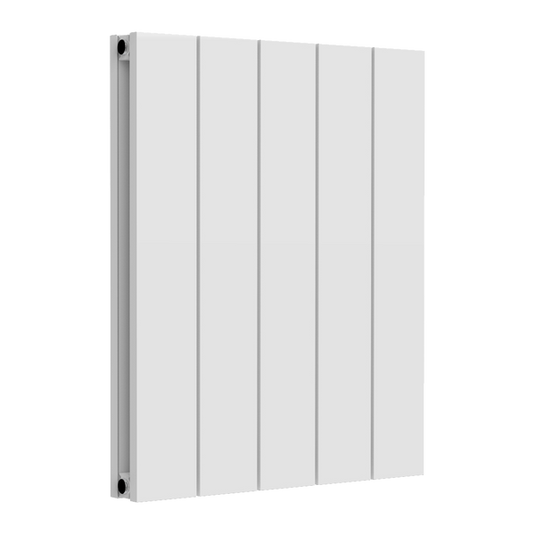 Reina Loco Horizontal Double Aluminium Radiator