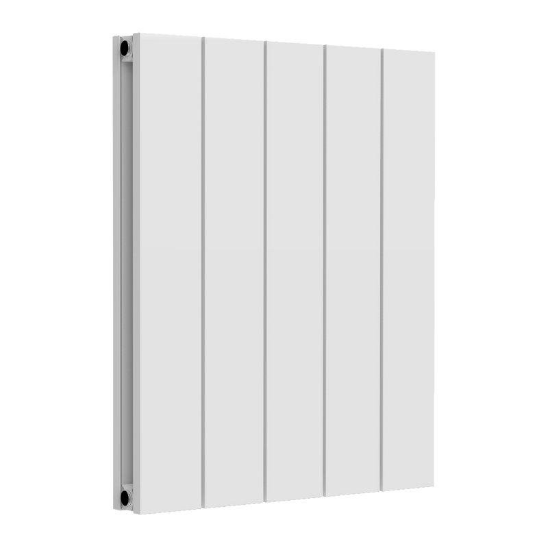 Reina Loco Horizontal Double Aluminium Radiator