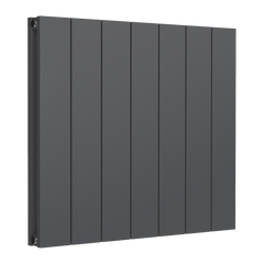 Reina Loco Horizontal Double Aluminium Radiator