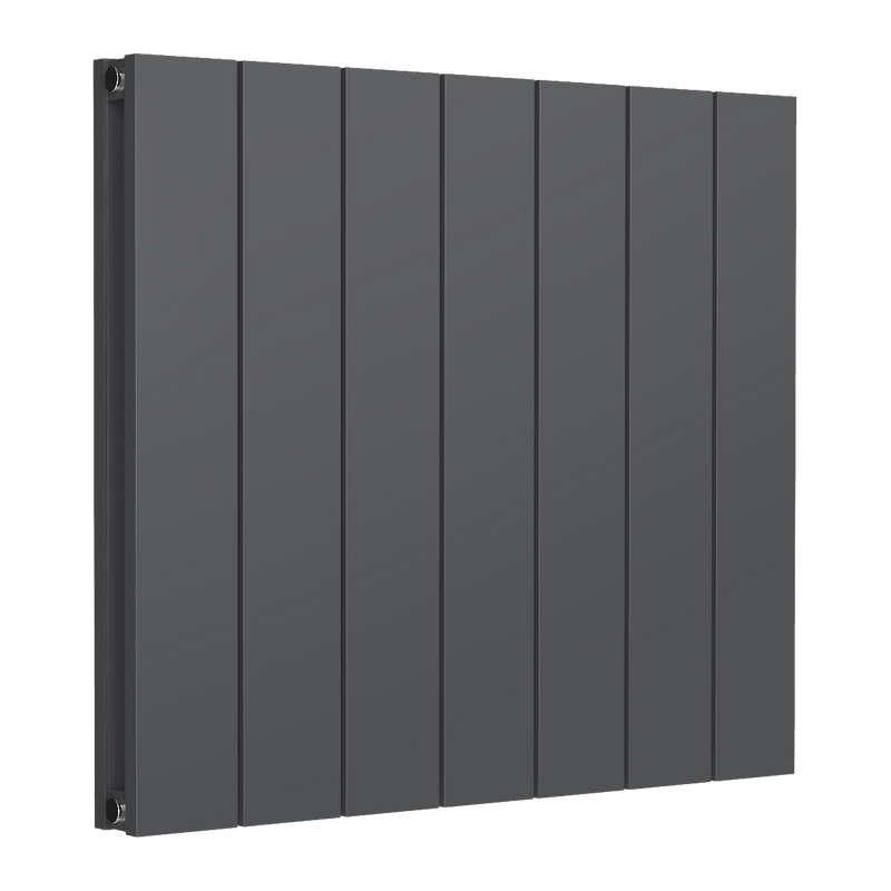 Reina Loco Horizontal Double Aluminium Radiator