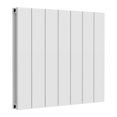 Reina Loco Horizontal Double Aluminium Radiator