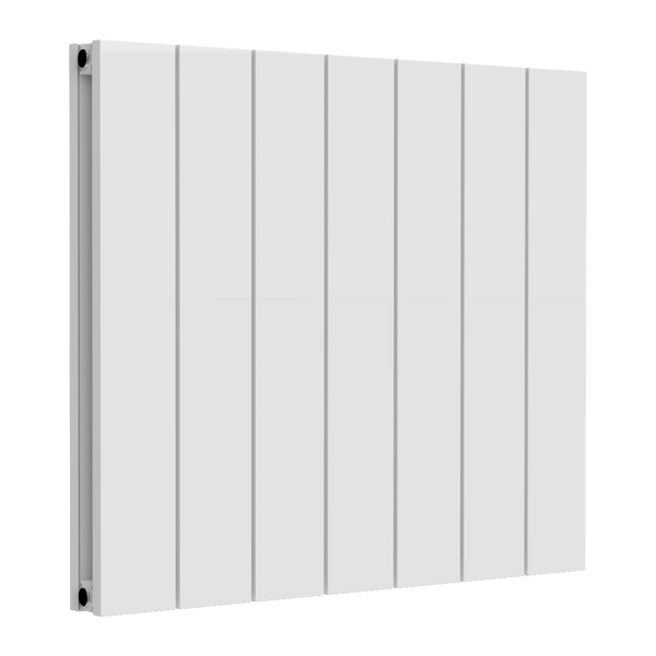 Reina Loco Horizontal Double Aluminium Radiator