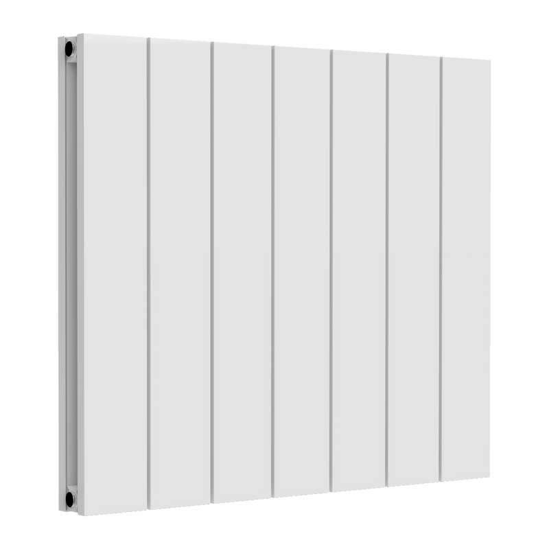 Reina Loco Horizontal Double Aluminium Radiator