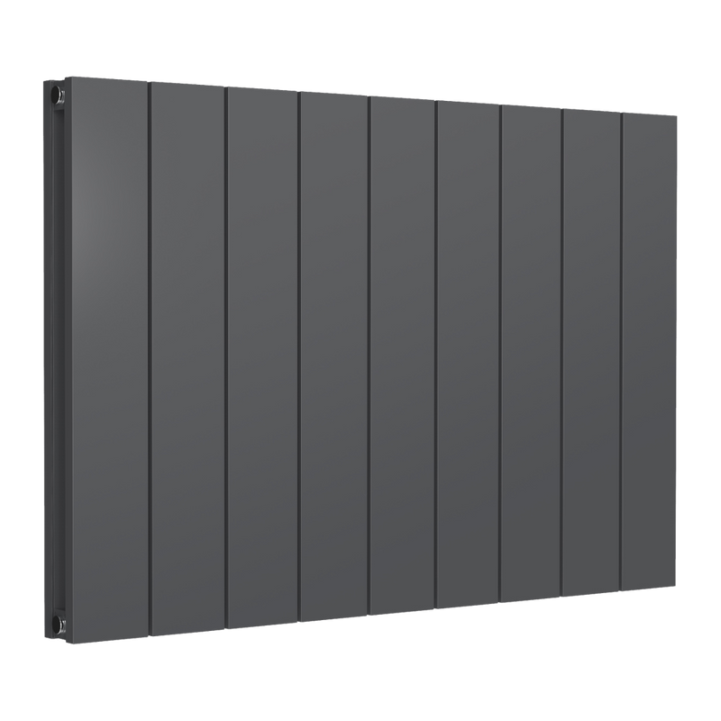 Reina Loco Horizontal Double Aluminium Radiator