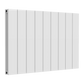 Reina Loco Horizontal Double Aluminium Radiator
