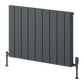 Reina Resia Horizontal Aluminium Radiator