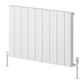 Reina Resia Horizontal Aluminium Radiator