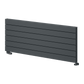 Reina Rienza Horizontal Aluminium Radiator