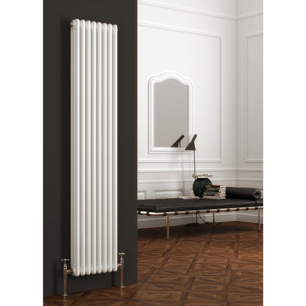 Reina Colona Traditional Column Designer White Vertical Radiator