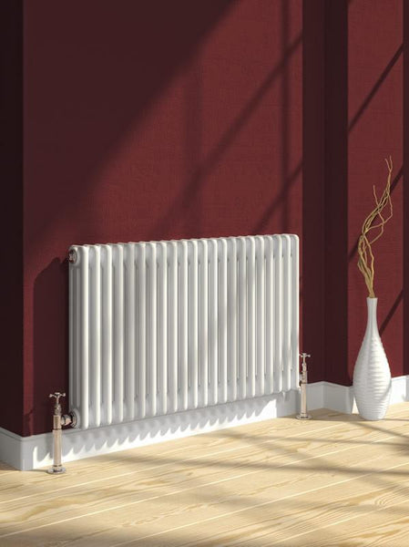 Reina Colona White Traditional Column Horizontal Radiator