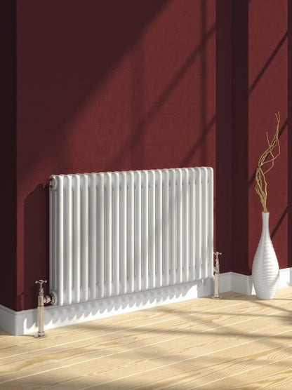 Reina Colona White Traditional Column Horizontal Radiator