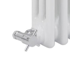 Reina Colona White Traditional Column Horizontal Radiator