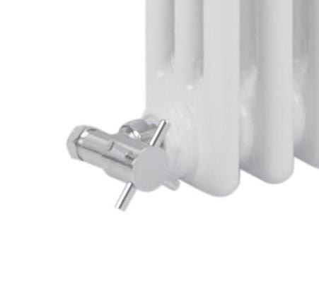 Reina Colona White Traditional Column Horizontal Radiator