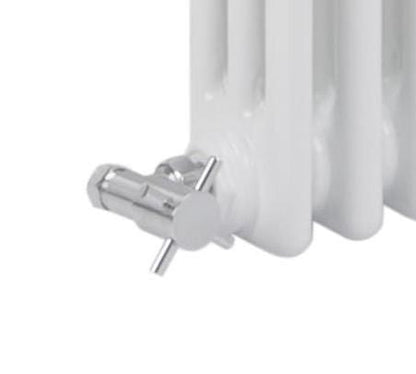 Reina Colona White Traditional Column Horizontal Radiator