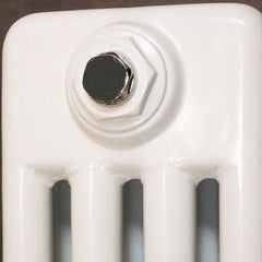 Reina Colona White Traditional Column Horizontal Radiator