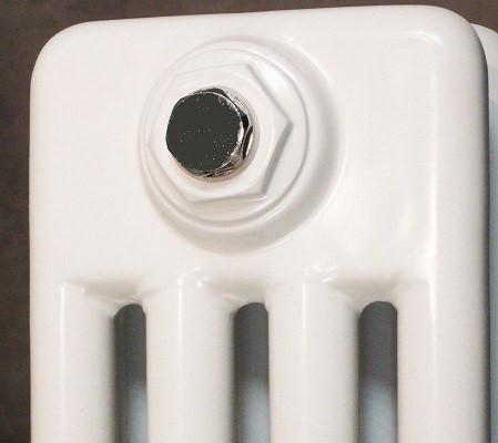 Reina Colona White Traditional Column Horizontal Radiator