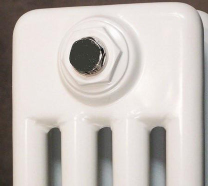 Reina Colona White Traditional Column Horizontal Radiator